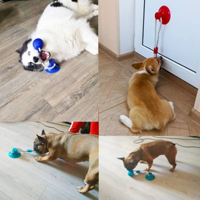 Durable Suction Cup Dog Tug To - Suction Cup Dog Tug Toy 评论和价格