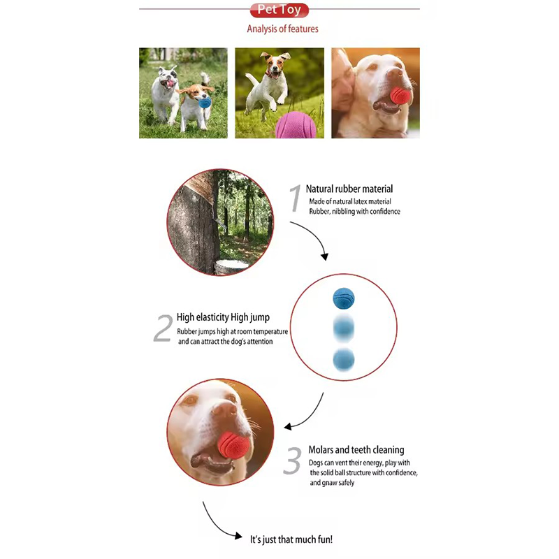 Solid Rubber Dog Bouncy Ball I - Indestructible Dog Chew Toy 评论和价格