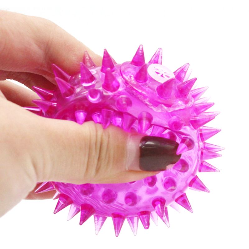5 Pcs Light-up LED Ball Dog an - Interactive Squeaky Plush Dog Toy 评论和价格