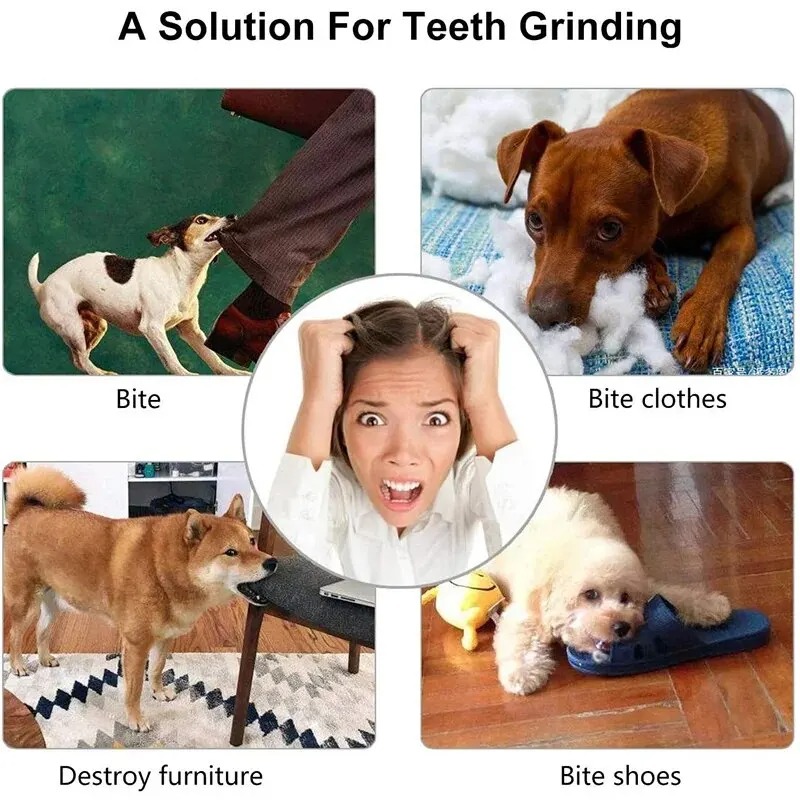 1 Pcs Dog Treat Ball Interacti - Rubber Treat Dispensing Dog Toy 评论和价格