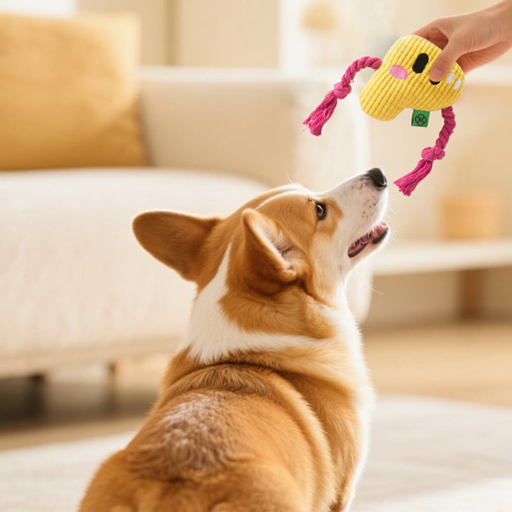 Dog Chew Toy - Durable Rope Kn - Dog Rope Toy Aggressive Chewers 评论和价格