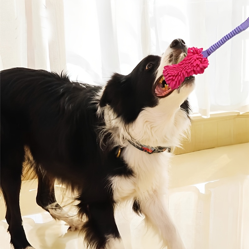 Durable Dog Toys for Aggressiv - Suction Cup Dog Tug Toy 评论和价格