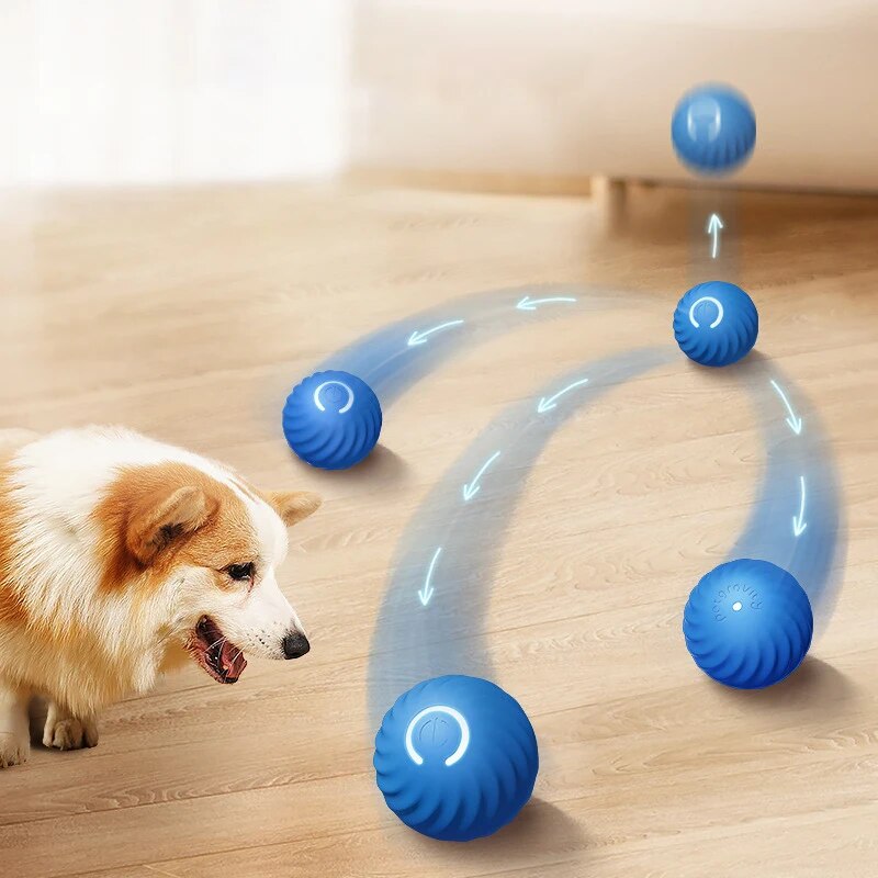 Dog Toys Intelligent Gravity J - Suction Cup Dog Tug Toy 评论和价格