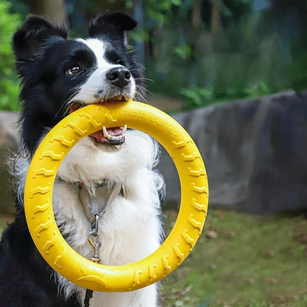 Dog Ring Toys Indestructible C - Suction Cup Dog Tug Toy 评论和价格