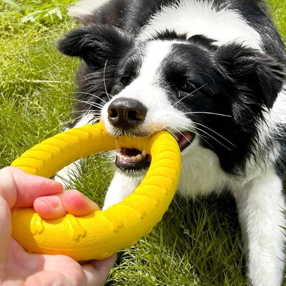Dog Ring Toys Indestructible C - Suction Cup Dog Tug Toy 评论和价格