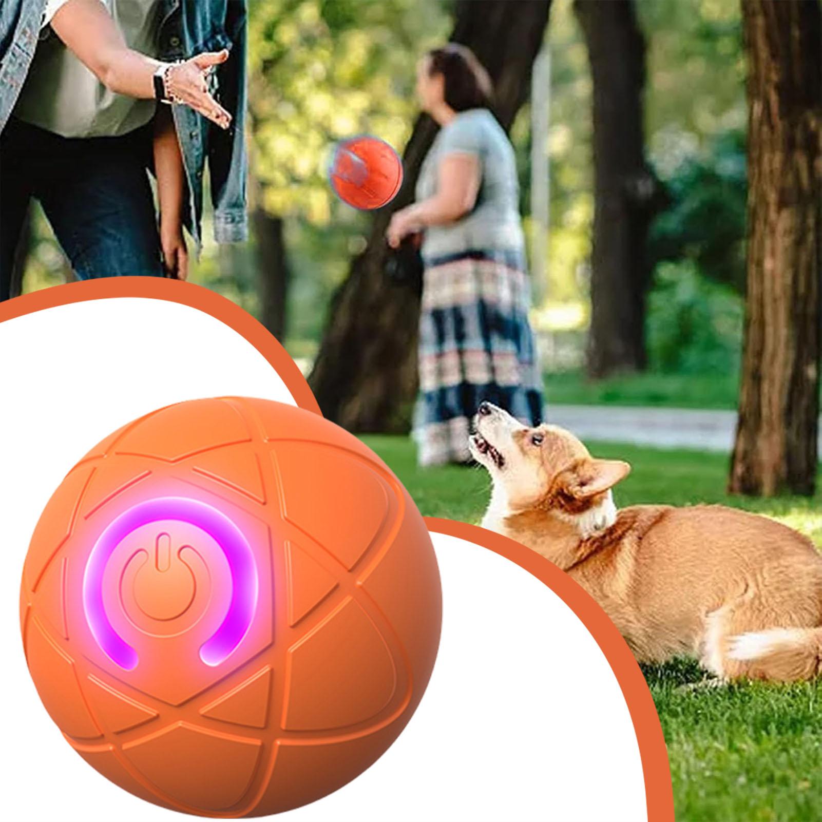 Dog Toy Ball Interactive Rolli - Automatic Moving Dog Ball 评论和价格