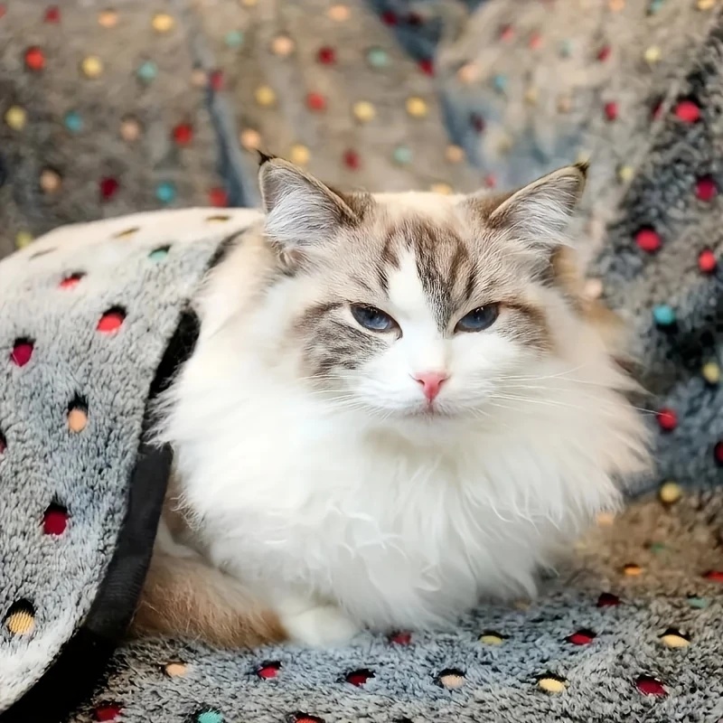 3PCS Soft Fluffy Pet Blanket C - Pet Beds 评论和价格