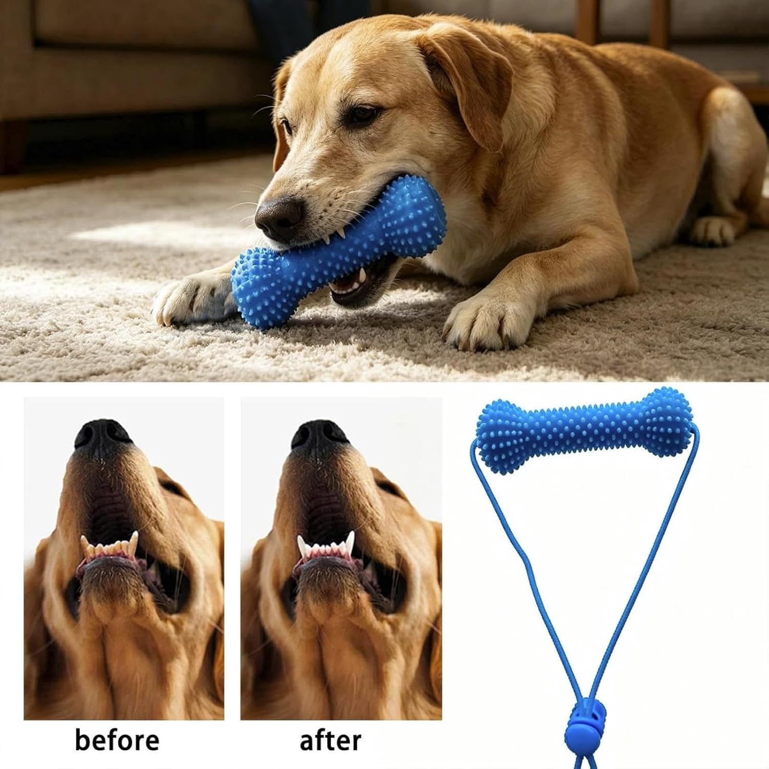 Pets Dog Chew Toys Dog Toothbr - Dog Toys 评论和价格