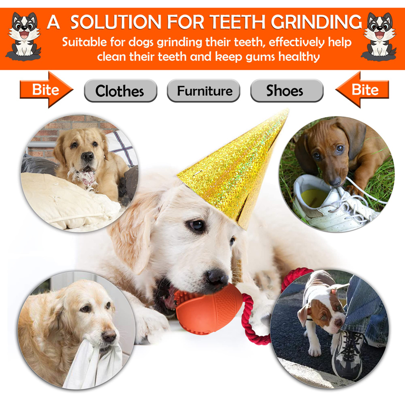 Benepaw Interactive Dog Toys E - Rubber Treat Dispensing Dog Toy 评论和价格
