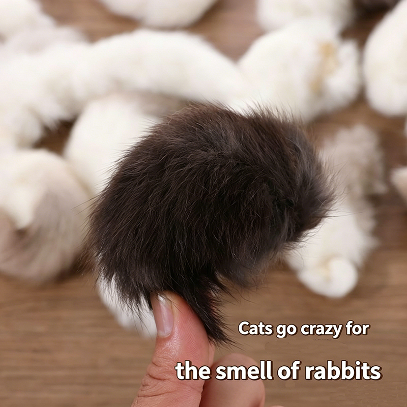 2Pcs Natural Rabbit Tail Cat T - Interactive Squeaky Plush Dog Toy 评论和价格