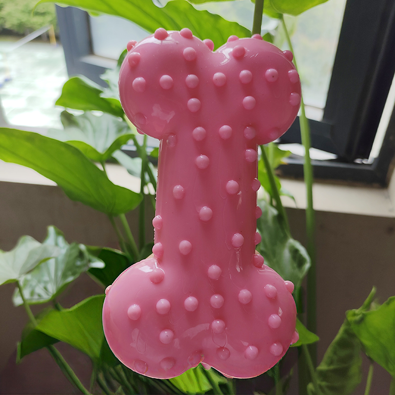 Dog Toy Rubber Sound Making Ch - Teeth Cleaning Dog Chew Bone 评论和价格