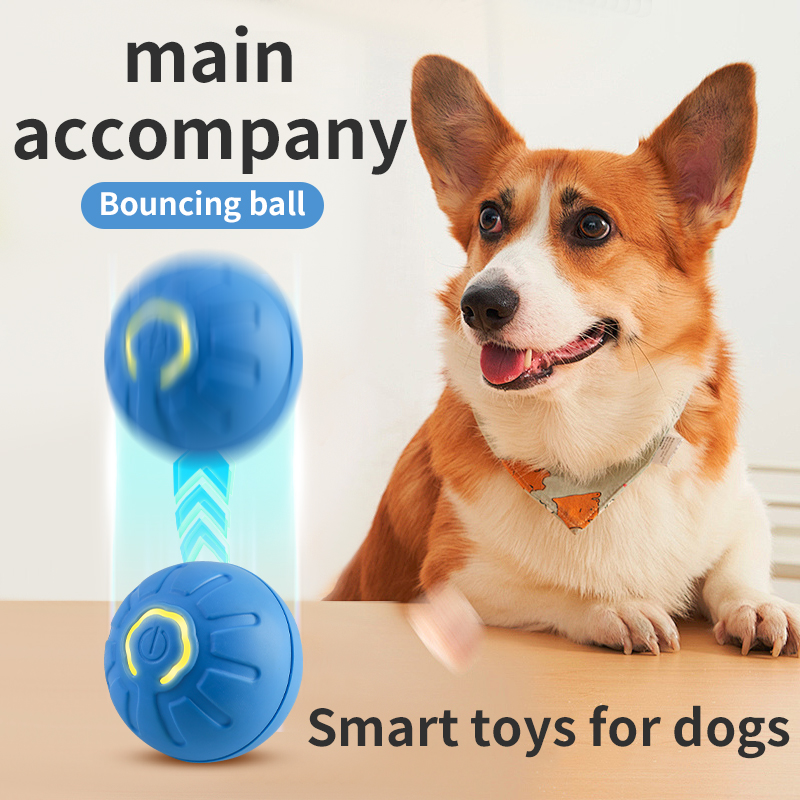 Automatic Moving Dog Toy Ball  - Automatic Moving Dog Ball 评论和价格