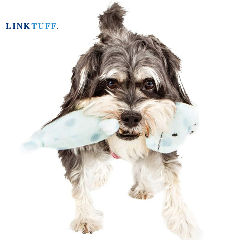 Linktuff Pet Dog Squeaky Train - Suction Cup Dog Tug Toy 评论和价格