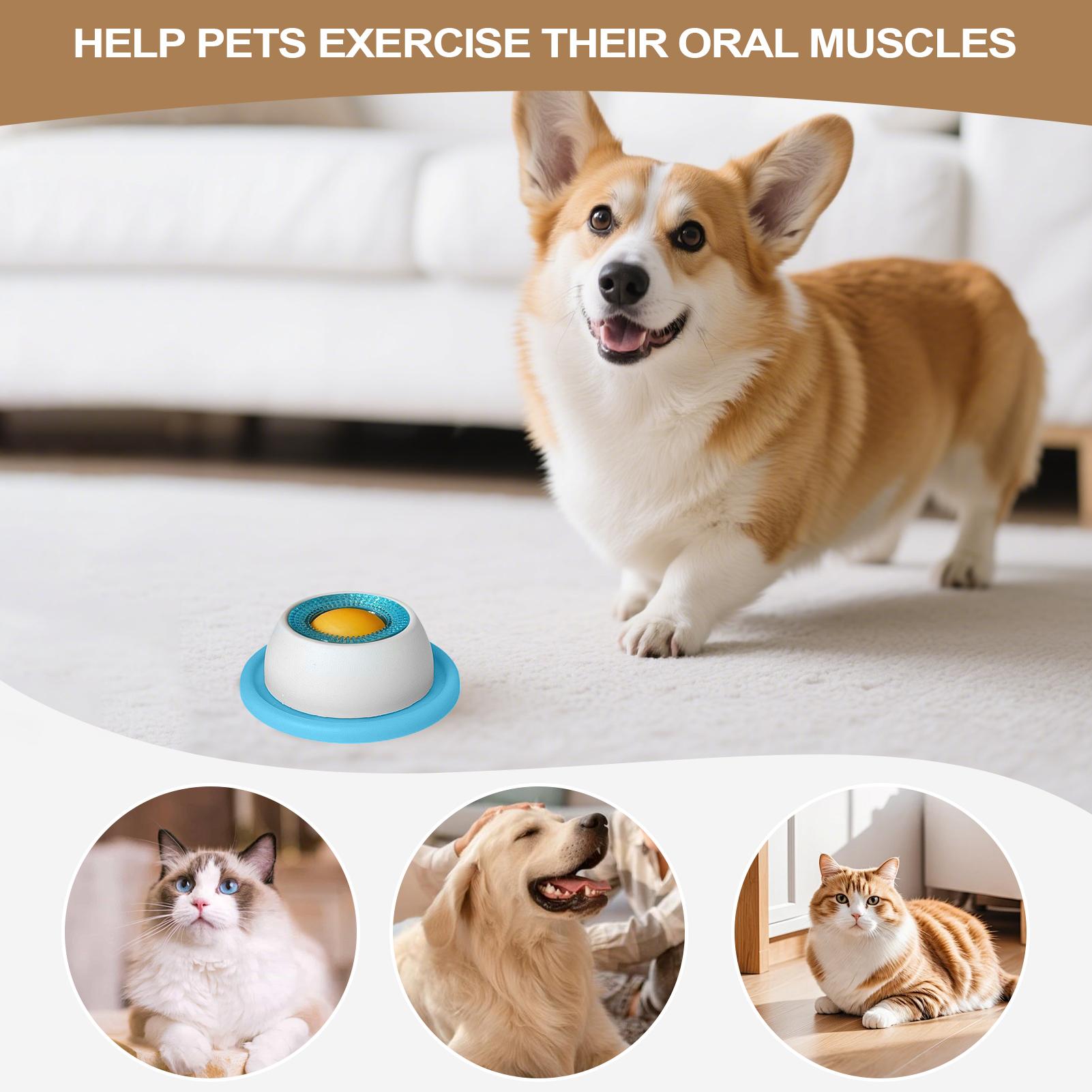 Dog Treat Toy Pet Feeding Acce - Dog Puzzle Feeder Toy 评论和价格