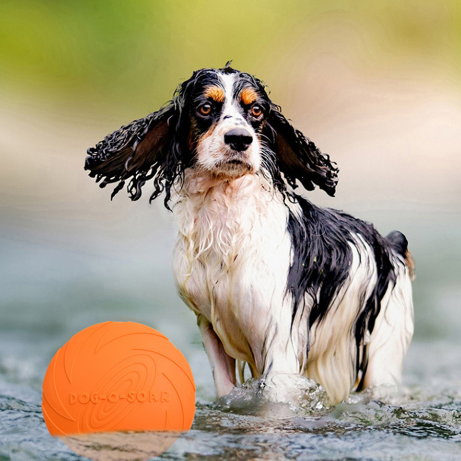 Large Dog Golden Fur Pet Flyin - Flying Disc Dog Training Toy 评论和价格