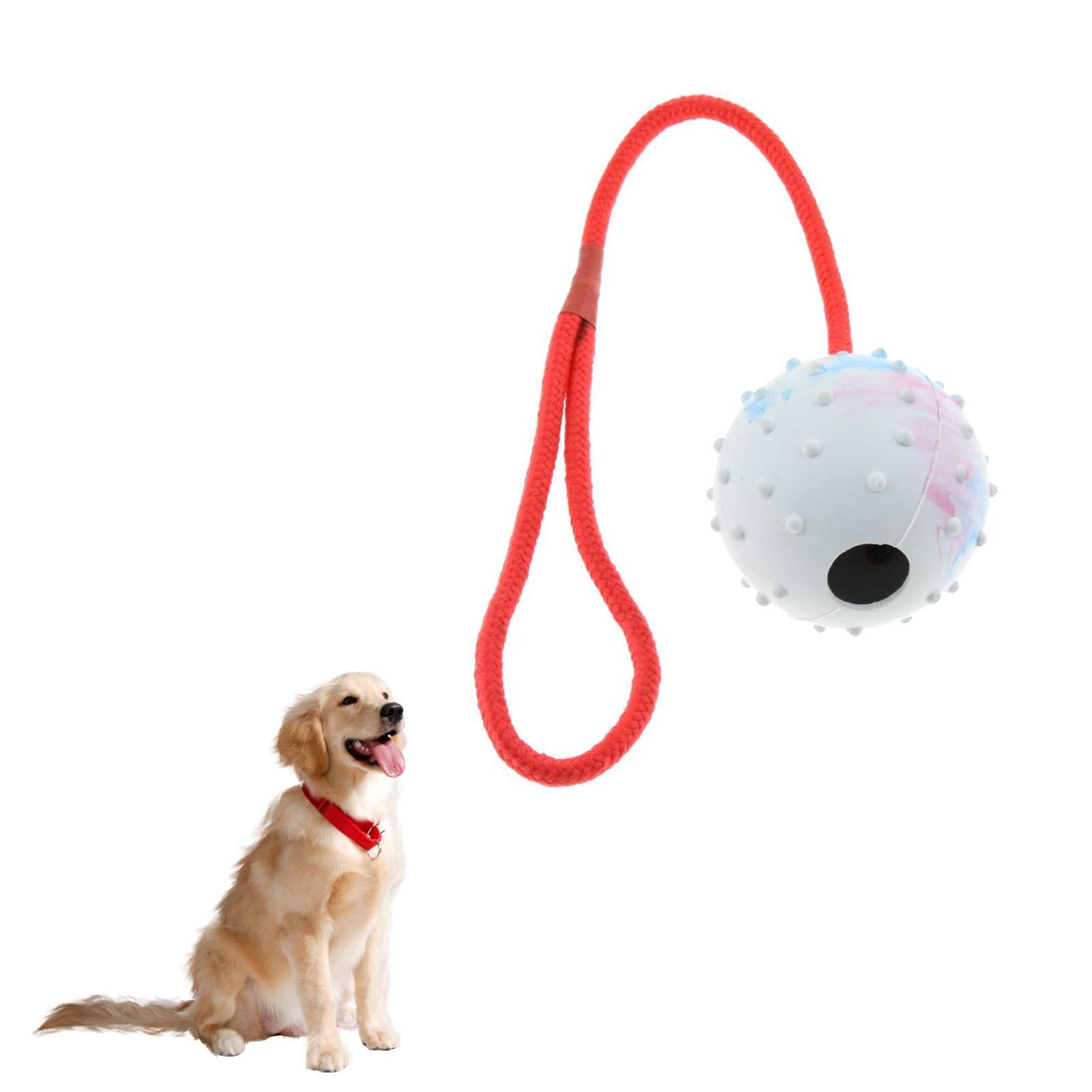 Pet Training Toy Soft Rubber C - Rubber Treat Dispensing Dog Toy 评论和价格